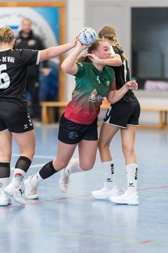 Bild 219 - wBJ HSG Kremperheide/Muensterdorf - HSG Joerl-Doppeleiche Vioel : Ergebnis: 34:23